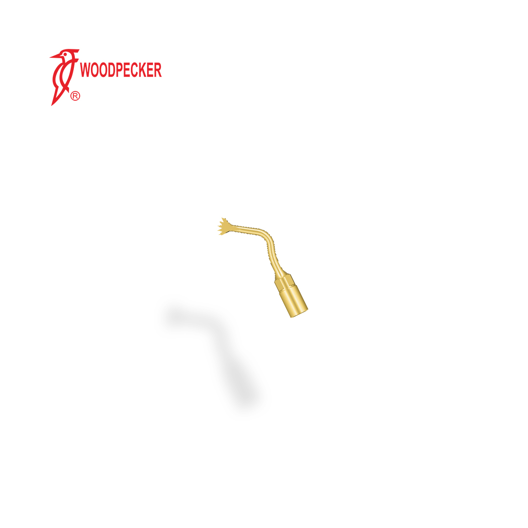 פייזו-טיפ Woodpecker Bone Surgery