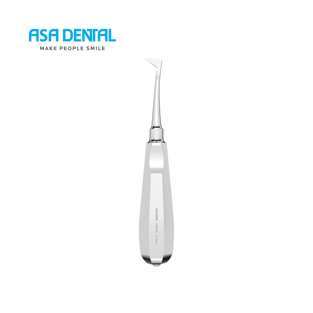 מניף Asa Dental Seldin 1R