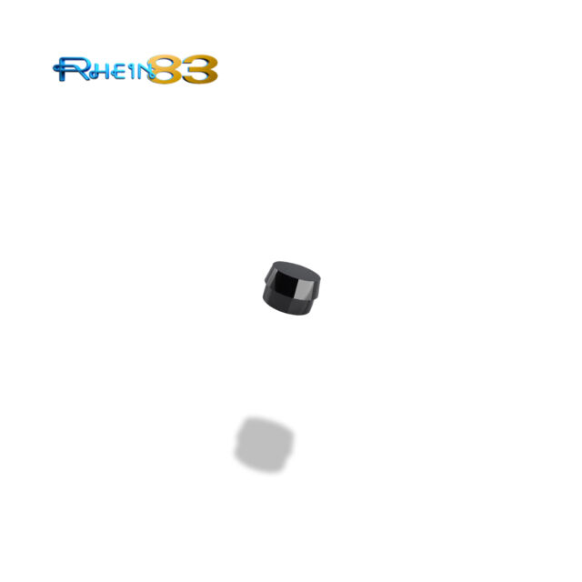 חיבור כיפה שחור למעבדה Rhein 83 N
