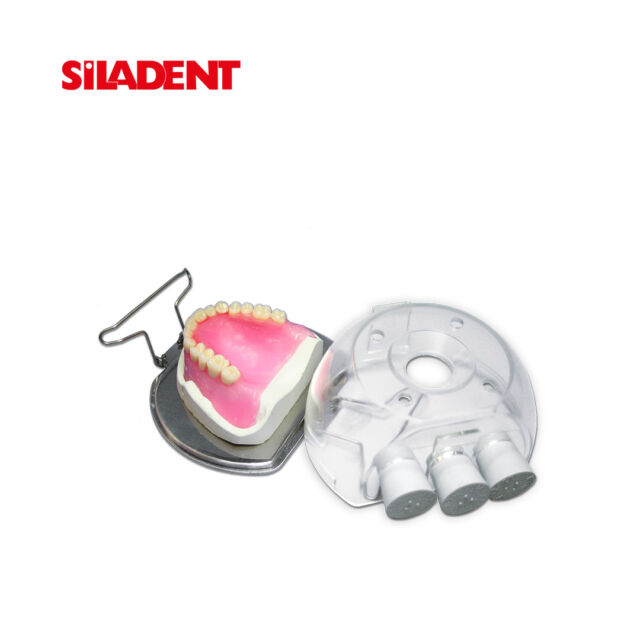 רשת לשטיפת תותבות SilaDent
