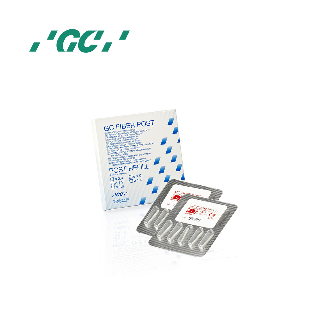 פייבר פוסט-מילוי (10) GC everStick POST