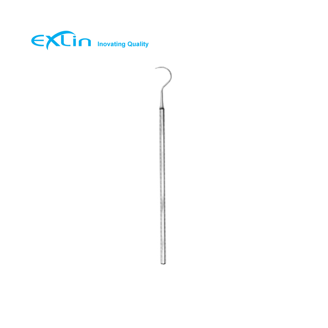 זונדה-עגולה Exlin