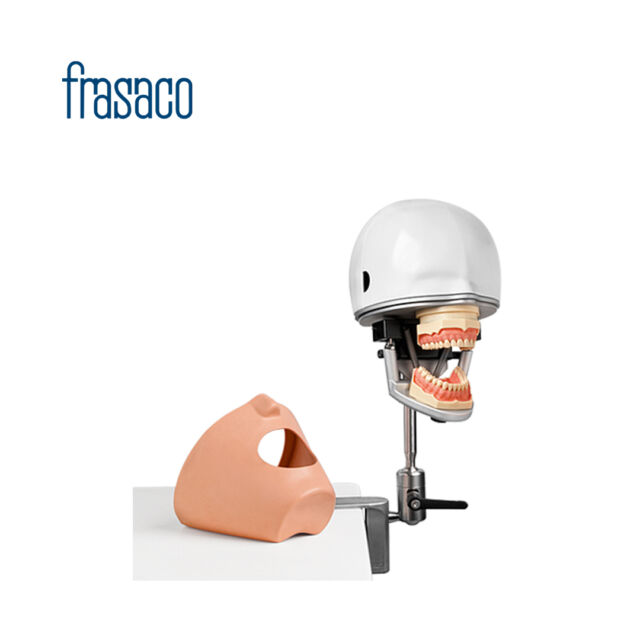 מודל לימוד-לסת Frasaco AG 3