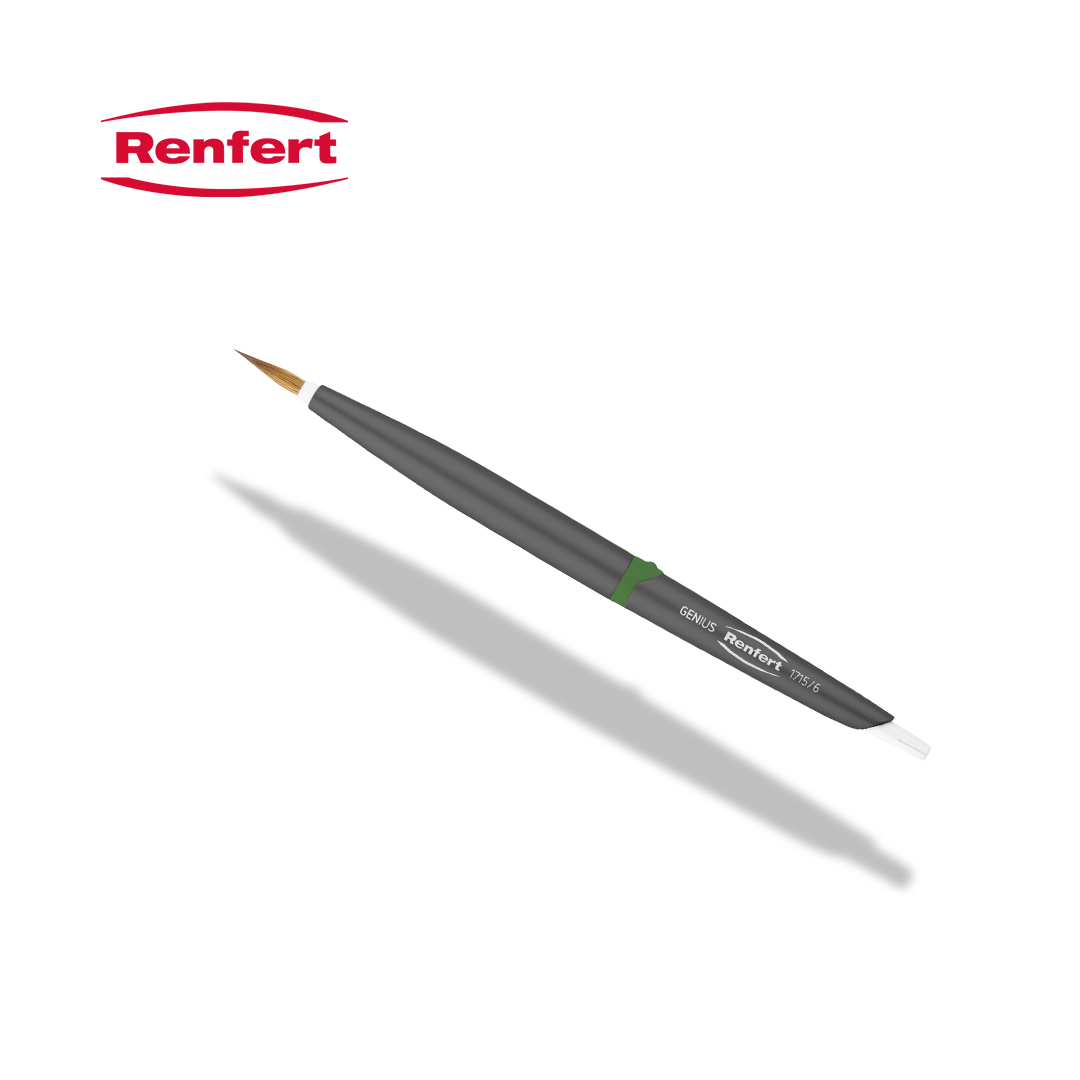 מכחול טבעי מס' 6 Renfert Genius