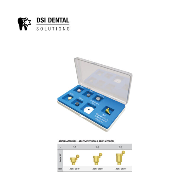 מבנה כדורי-סט קומפלט זויתי 30° 3.75/1 DSI P